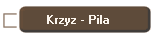 Krzyz - Pila