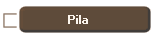 Pila